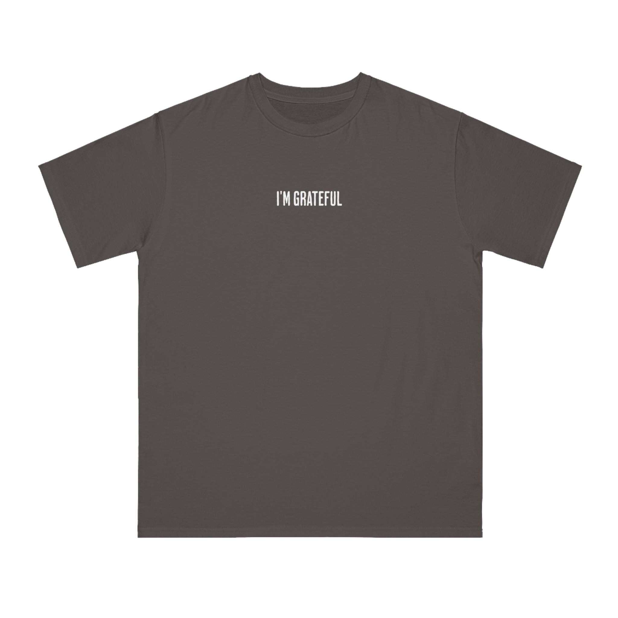 Grateful Mindset Organic Unisex T-Shirt, Positive Vibes Apparel, Conscious Clothing, Gift for Wellness Enthusiasts, Casual Wear