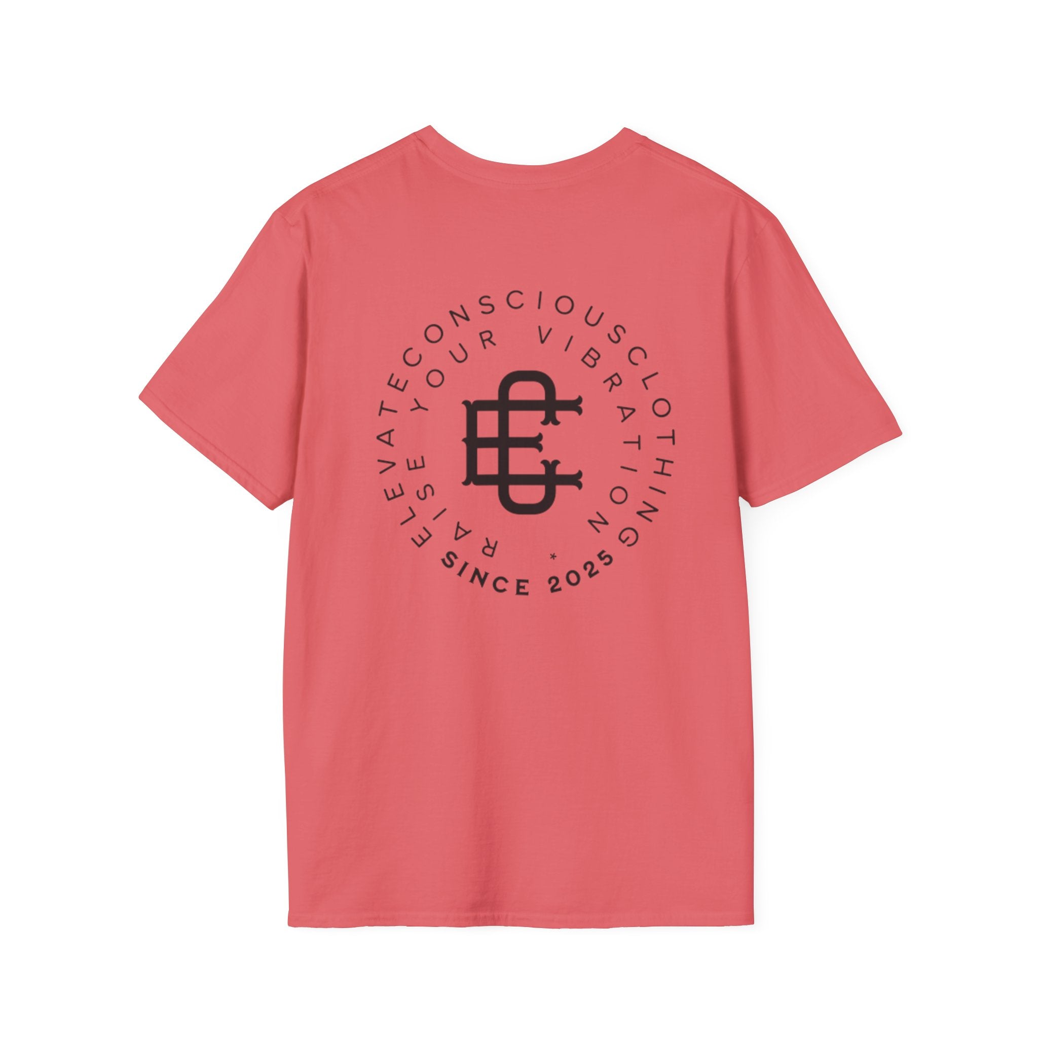 Elevate Your Vibration Unisex Softstyle T-Shirt, Conscious Clothing, Eco-Friendly Tee, Casual Wear, Gift for Him/Her