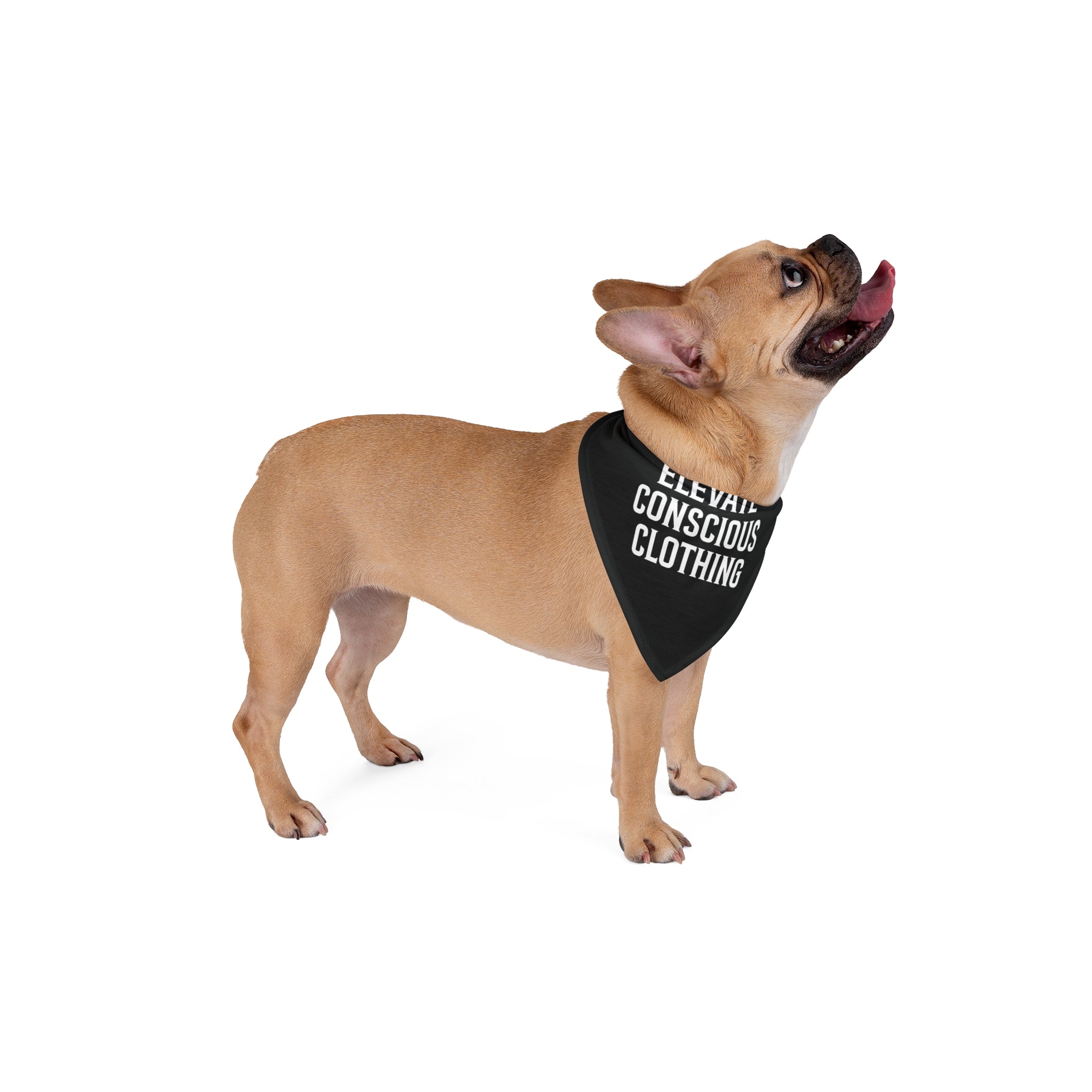 Elevate Conscious Pet Bandana, Eco-Friendly Dog Scarf, Stylish Pet Accessory, Perfect for Dog Lovers, Gift for Pets