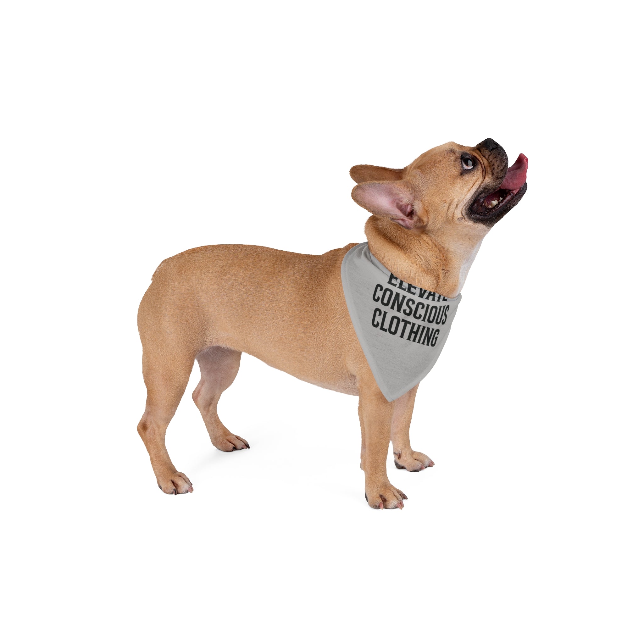 Elevate Conscious Pet Bandana - Eco-Friendly Dog Accessory, Great for Pet Lovers, Gift for Dog Owners, Stylish Dog Fashion, Pet Apparel