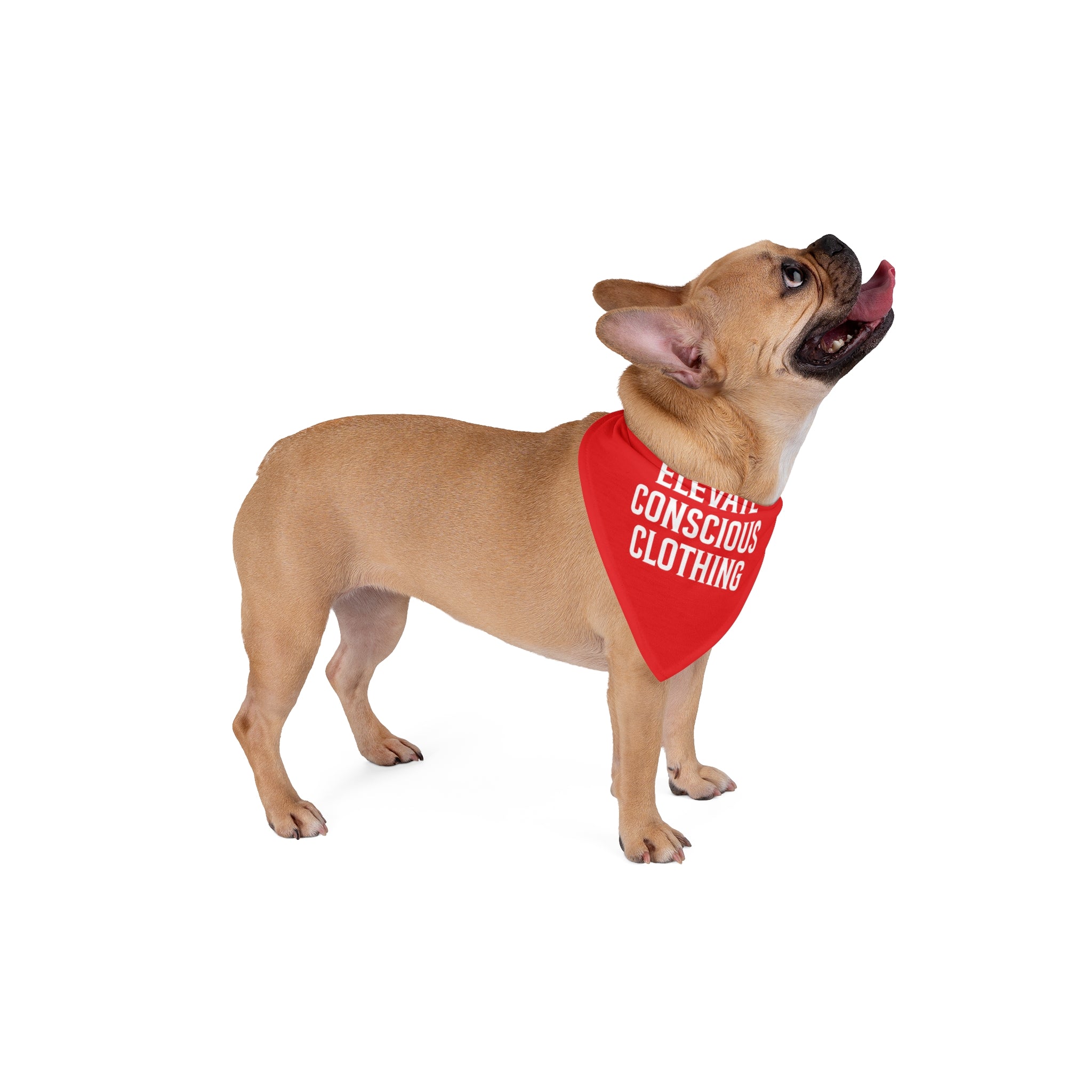 Elevate Conscious Pet Bandana | Eco-Friendly Accessories for Fashionable Pets, Stylish Dog Wear, Gift for Pet Lovers, Summer [...]