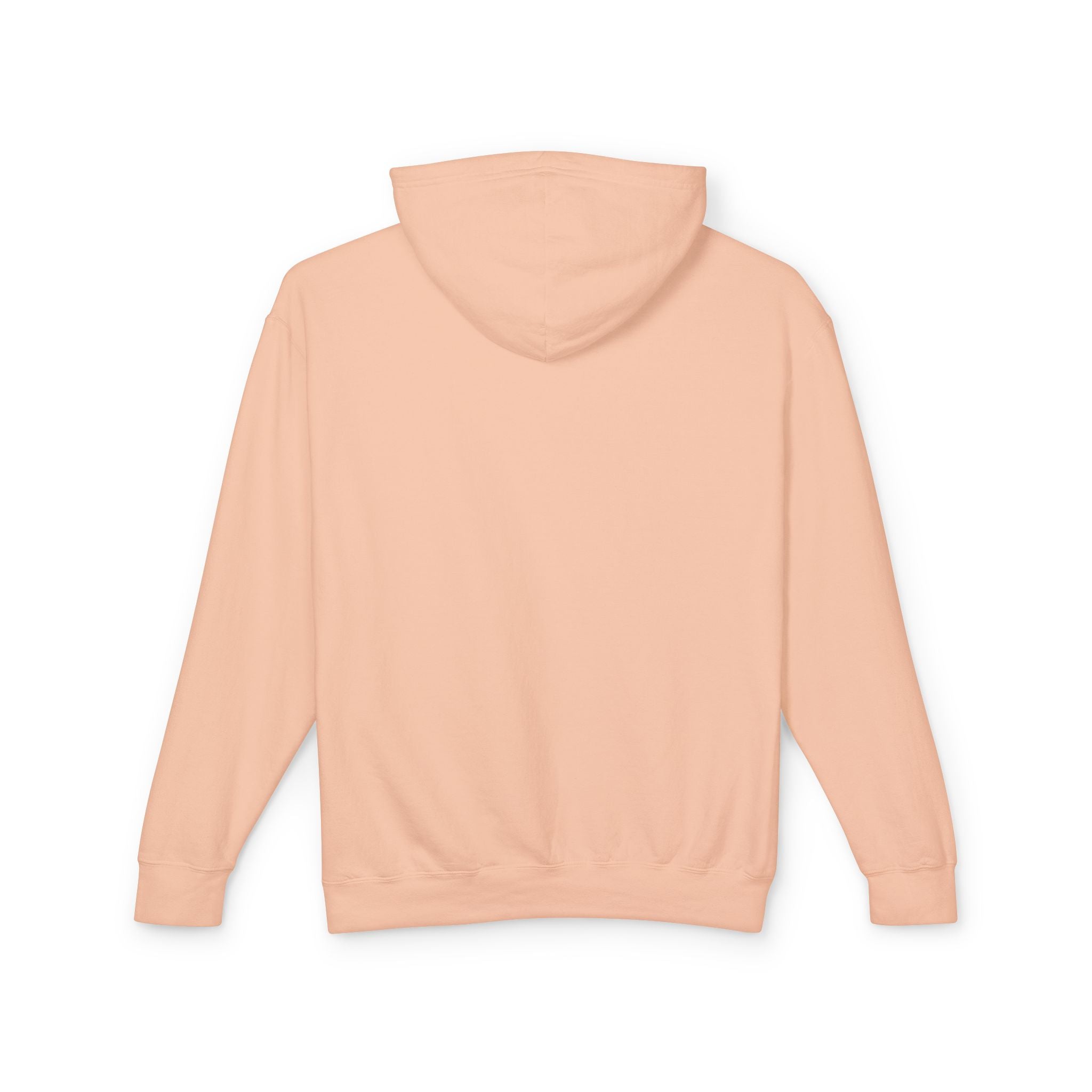 Sober Is Sexy Hoodie
